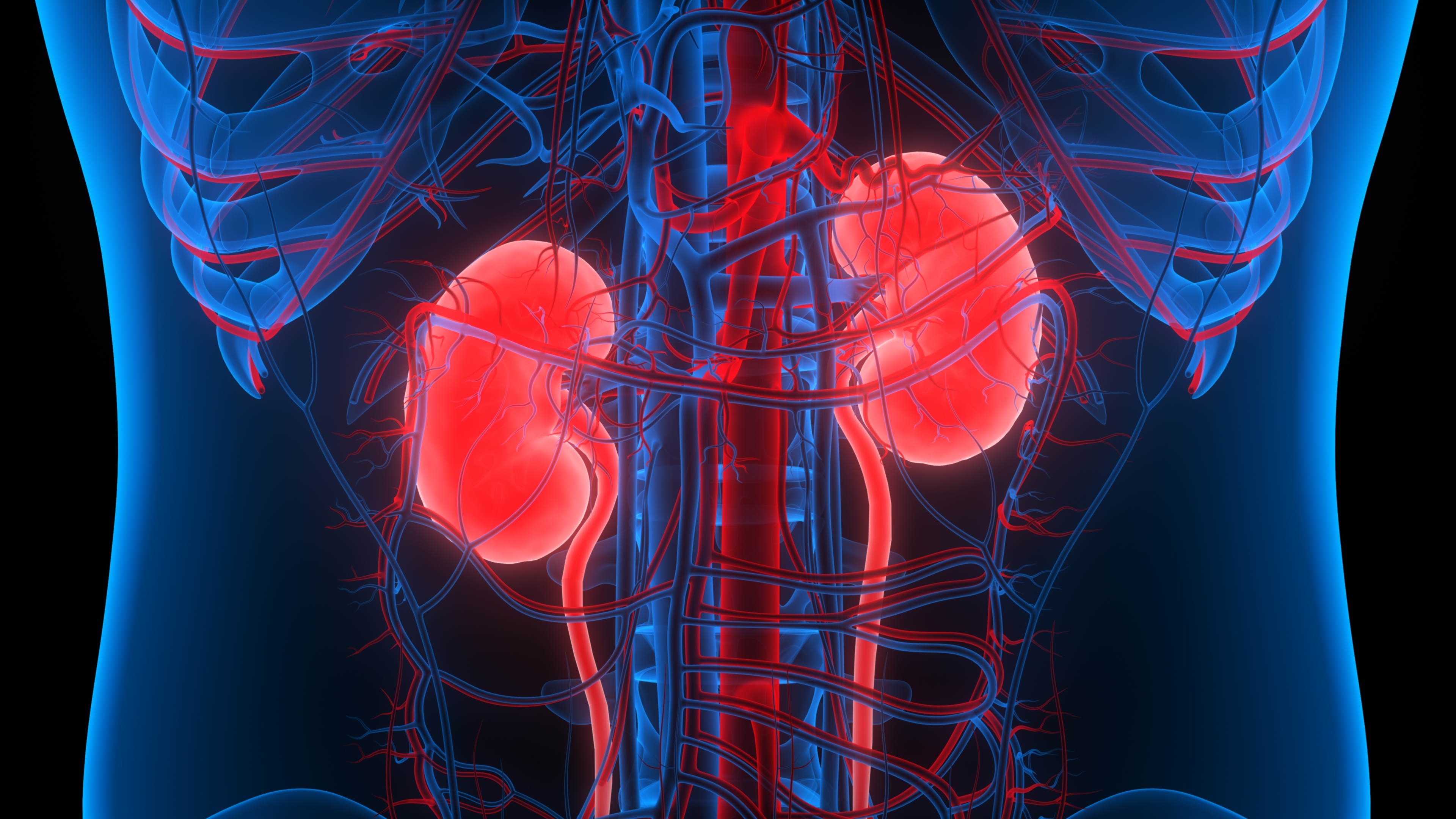 Kidney Care image