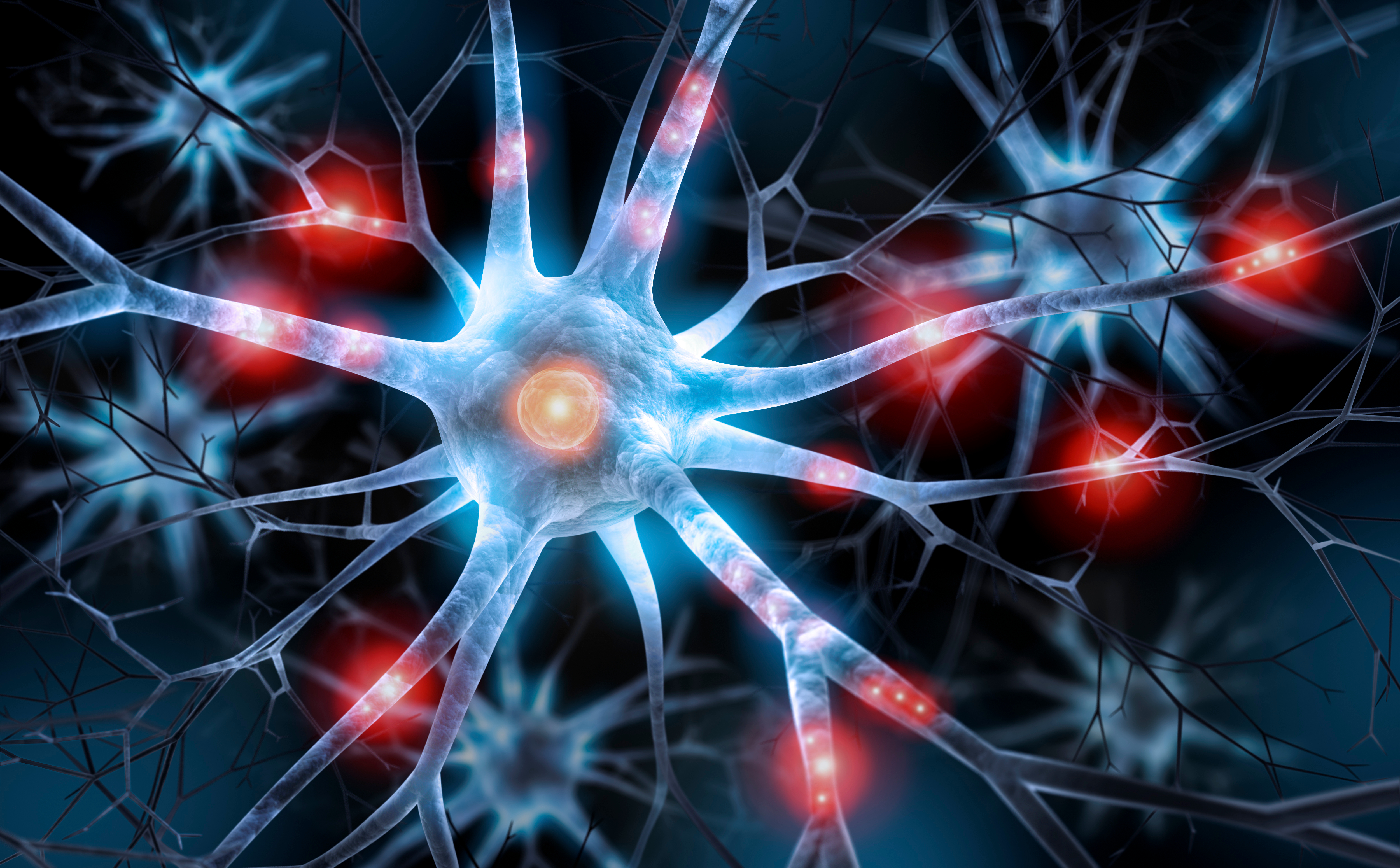 Neurology nerve cell Neurology nerve cell