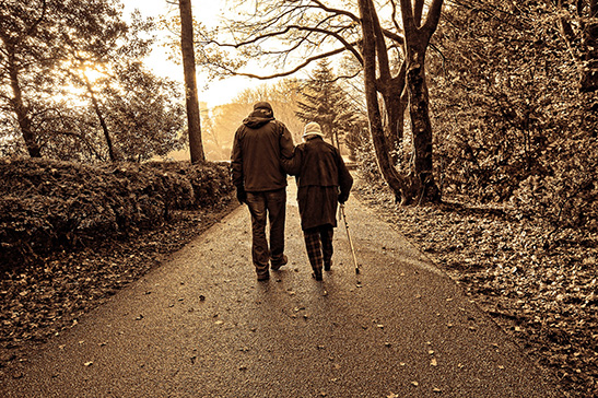 People On a Walk People On a Walk